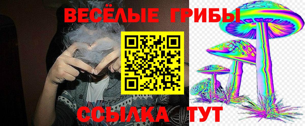 Галлюциногенные грибы GOLDEN TEACHER  Псилоцибиновые грибы MAGIC MUSHROOMS  Вход с VPN  Саяногорск 
